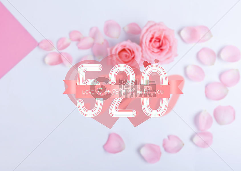 520浪漫鲜花背景图片素材免费下载