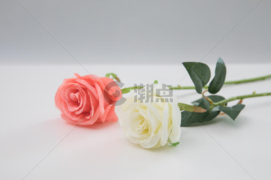 桌子上的玫瑰花图片素材免费下载