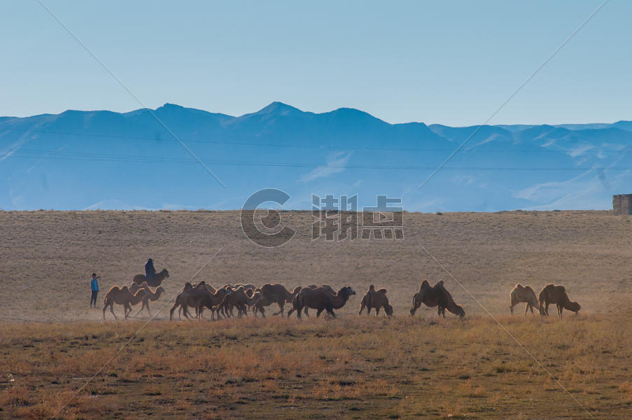 新疆天山牧业草场图片素材免费下载