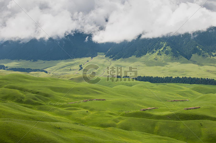 新疆天山牧场图片素材免费下载