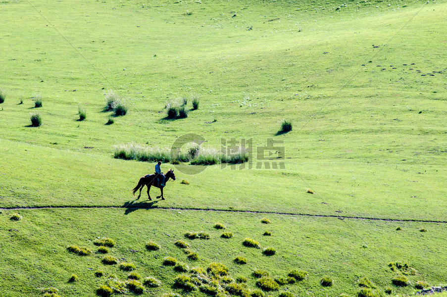 新疆天山牧场图片素材免费下载