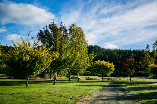 新西兰景色图片素材免费下载