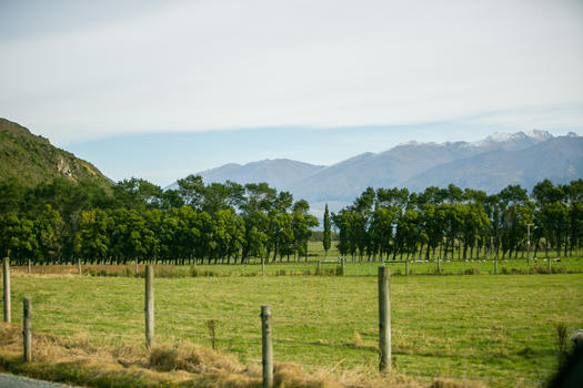 新西兰农牧业图片素材免费下载