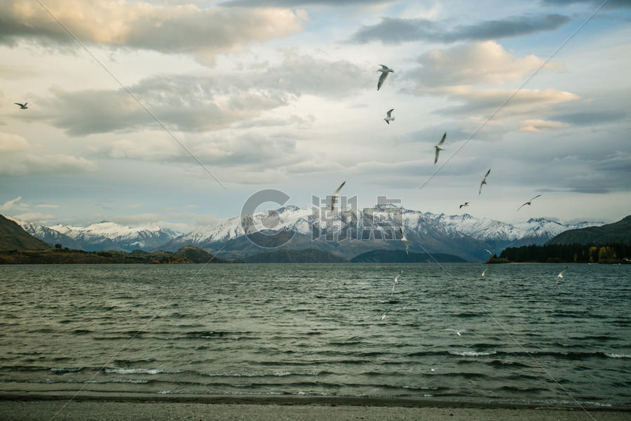 新西兰风景图片素材免费下载
