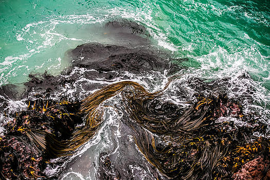 新西兰海边岩石图片素材免费下载