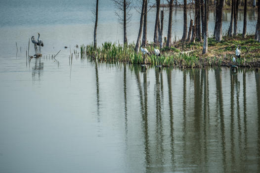 苏州东太湖生态旅游度假区中心湖泊图片素材免费下载