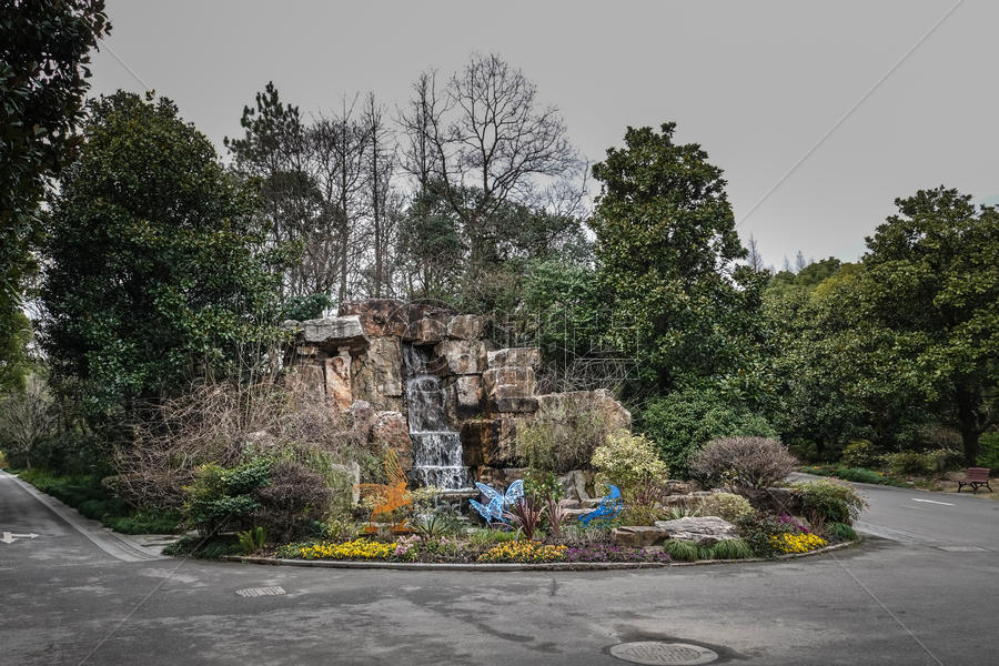 上海植物园假山小景图片素材免费下载