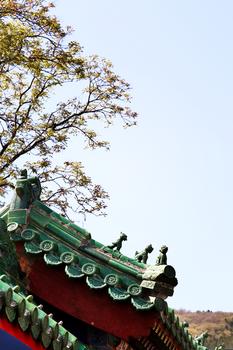 北京八大处公园春景图片素材免费下载