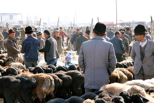 新疆喀什牛羊大巴扎图片素材免费下载