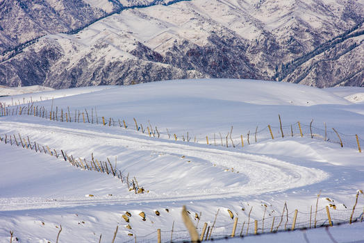 新疆天山冬季雪景图片素材免费下载