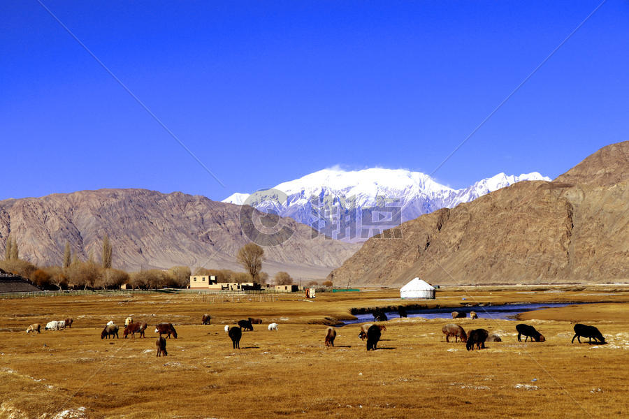 新疆喀什帕米尔高原金草滩湿地深秋图片素材免费下载