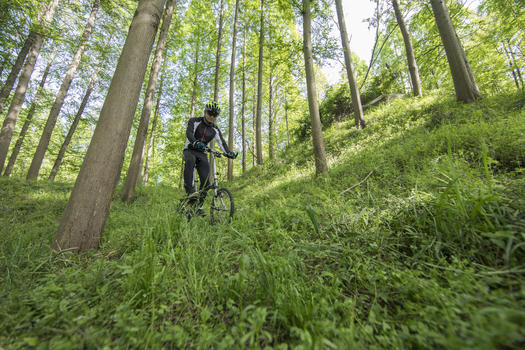 骑手在森林山地骑行图片素材免费下载