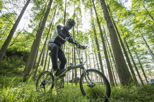 骑手在森林山地骑行图片素材免费下载