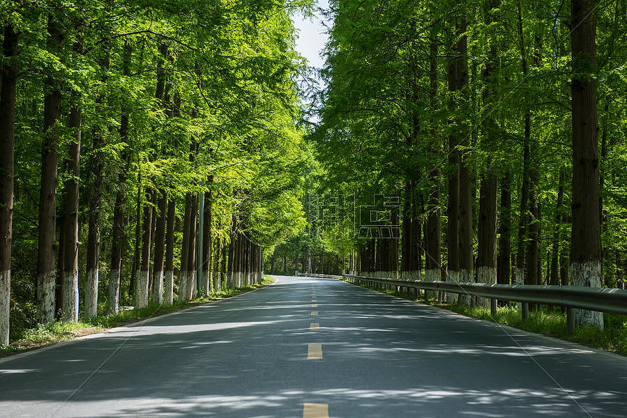 夏天树林间的公路摄影图6910*4612图片素材免费下载-编号797742-潮点视频
