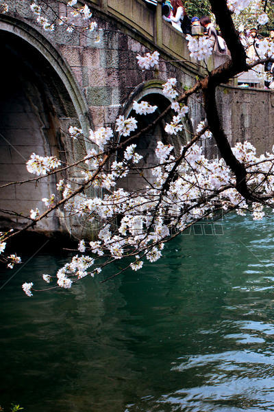 春拍杭州太子湾公园图片素材免费下载