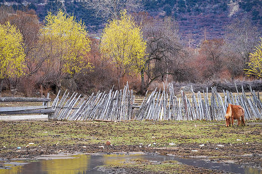 西藏田园图片素材免费下载