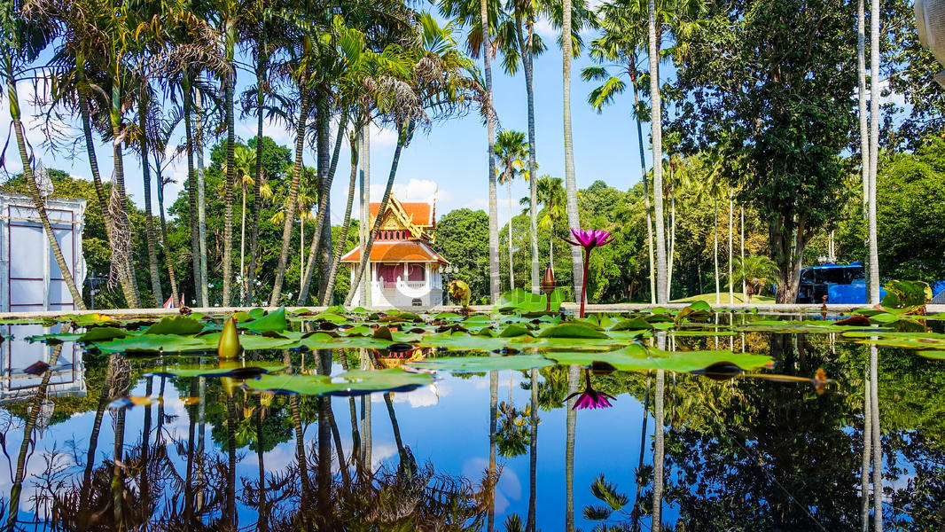 泰国曼谷寺庙图片素材免费下载