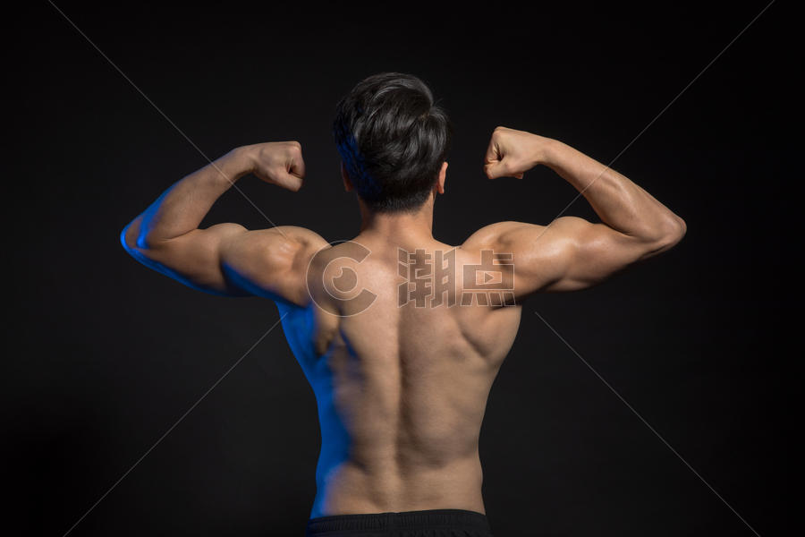 运动男性背部身材肌肉展示图片素材免费下载