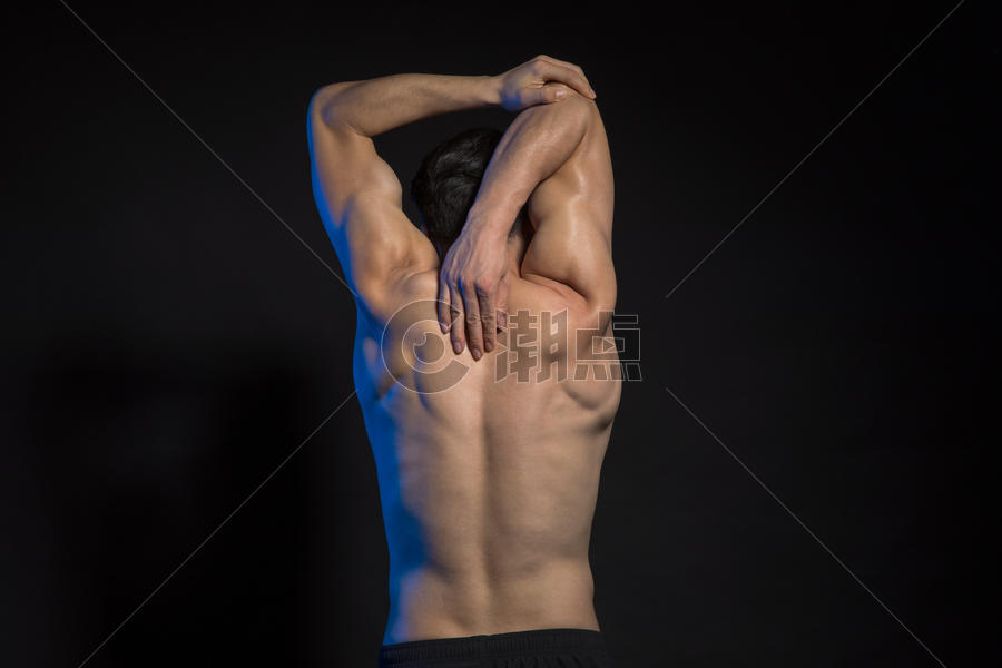 运动男性背部身材肌肉展示图片素材免费下载