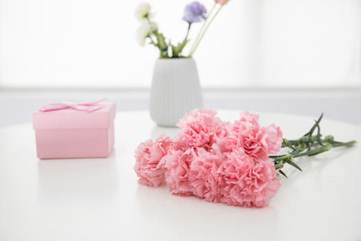 康乃馨花卉与礼盒图片素材免费下载