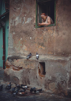 站在窗台喂鸽子的妇人图片素材免费下载