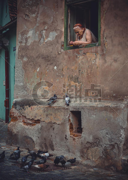 站在窗台喂鸽子的妇人图片素材免费下载