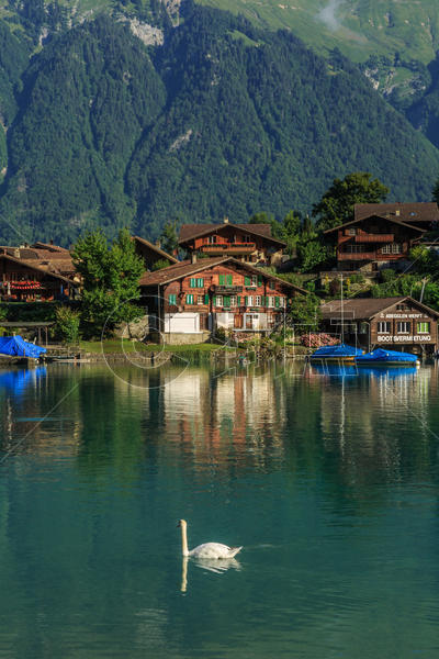 瑞士因特拉肯湖风光图片素材免费下载