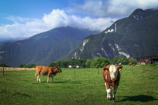 瑞士高山天然牧场图片素材免费下载