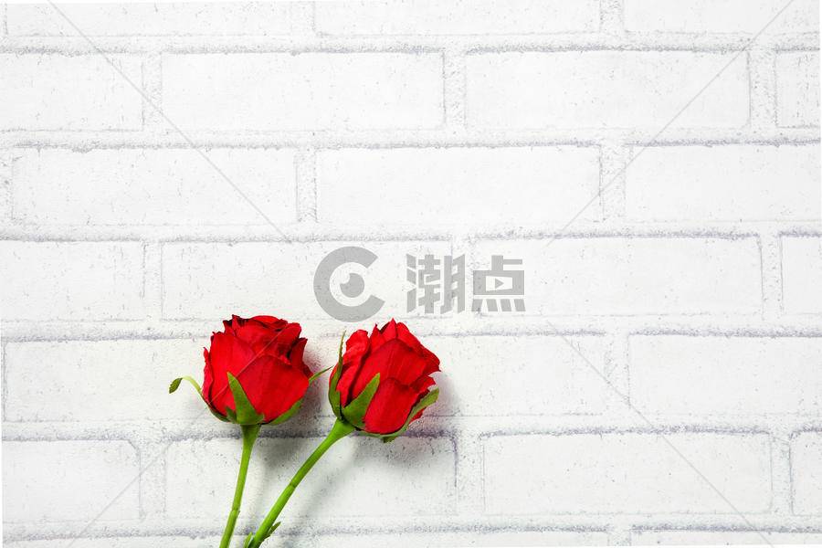 墙上的两朵红色玫瑰图片素材免费下载