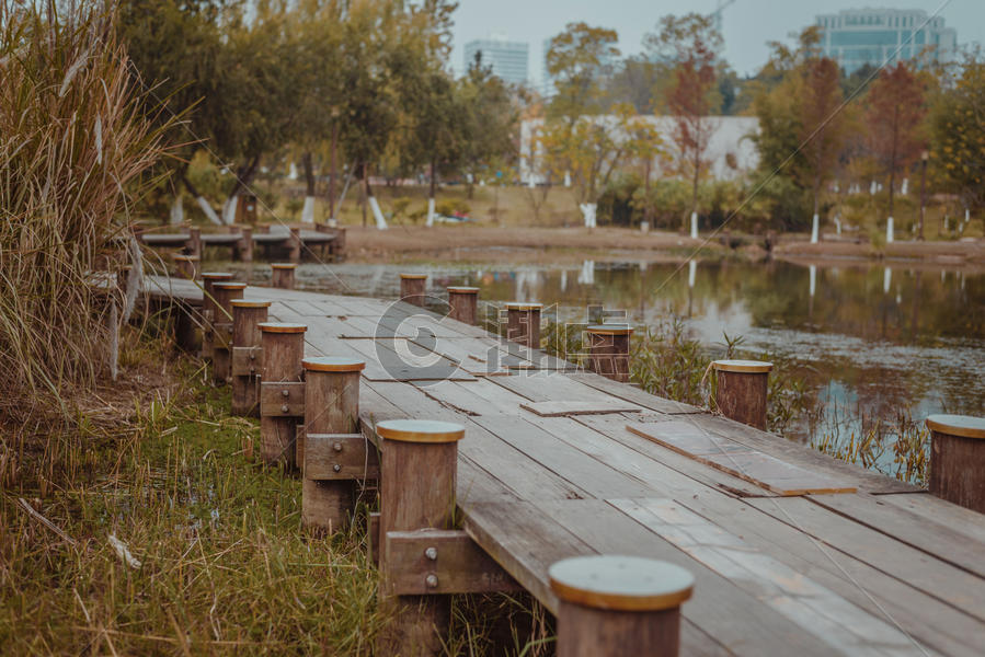 幽静的湖边木制步道图片素材免费下载