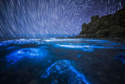 荧光海滩下的星轨图片素材免费下载