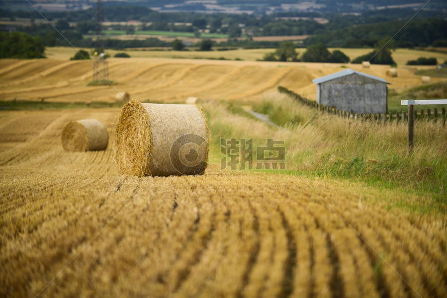 英国乡村小麦地图片素材免费下载