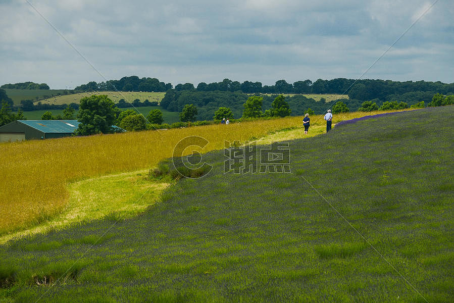 英国英格兰乡村风光图片素材免费下载
