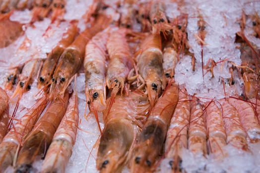 超市冰柜里的基围虾图片素材免费下载