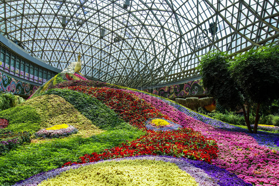 亚洲最大花卉温室图片素材免费下载