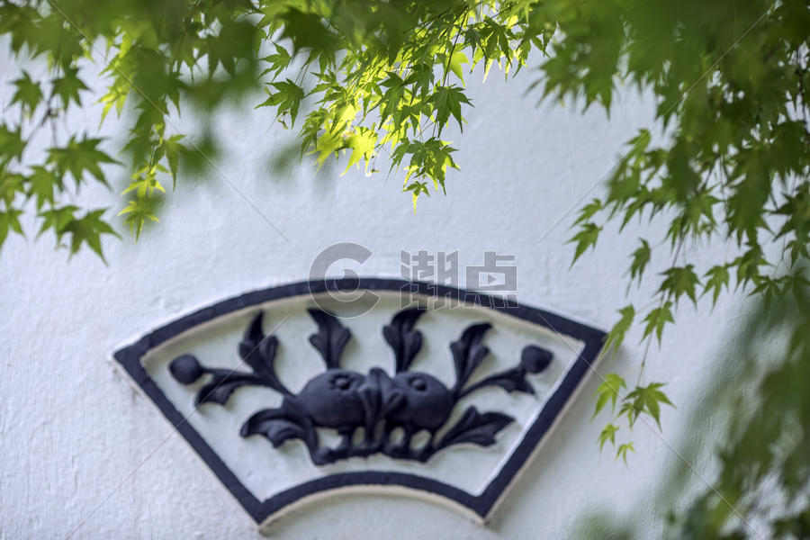 中国风的枫叶图片素材免费下载