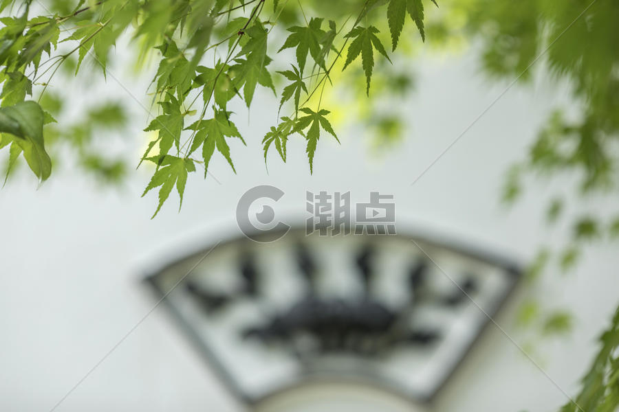 中国风的枫叶图片素材免费下载