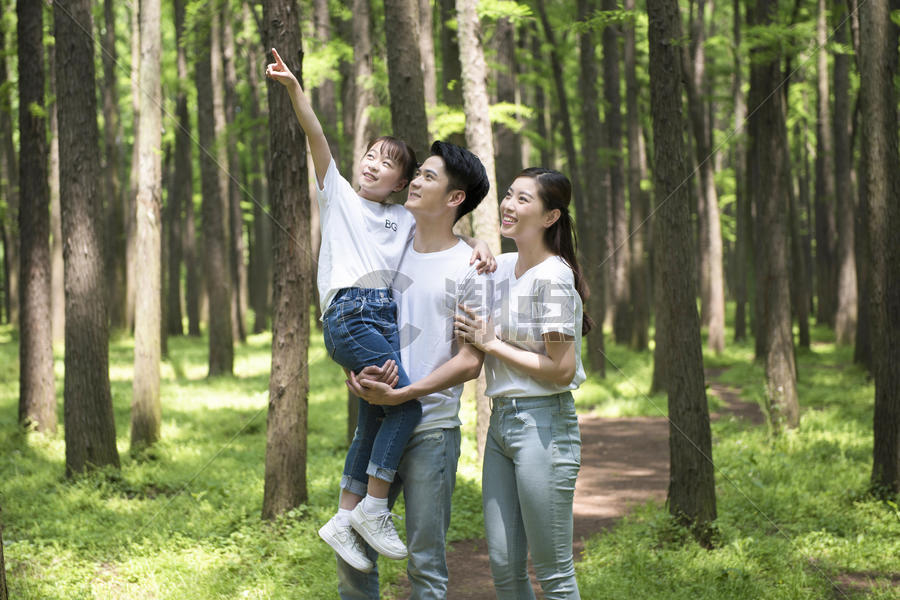 一家人在树林中游玩图片素材免费下载