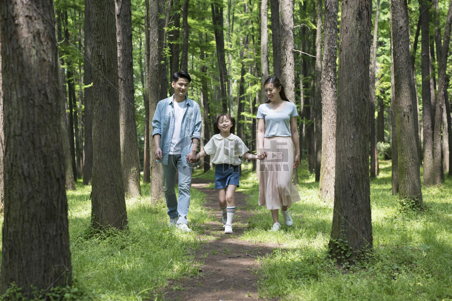 一家人在树林中散步图片素材免费下载