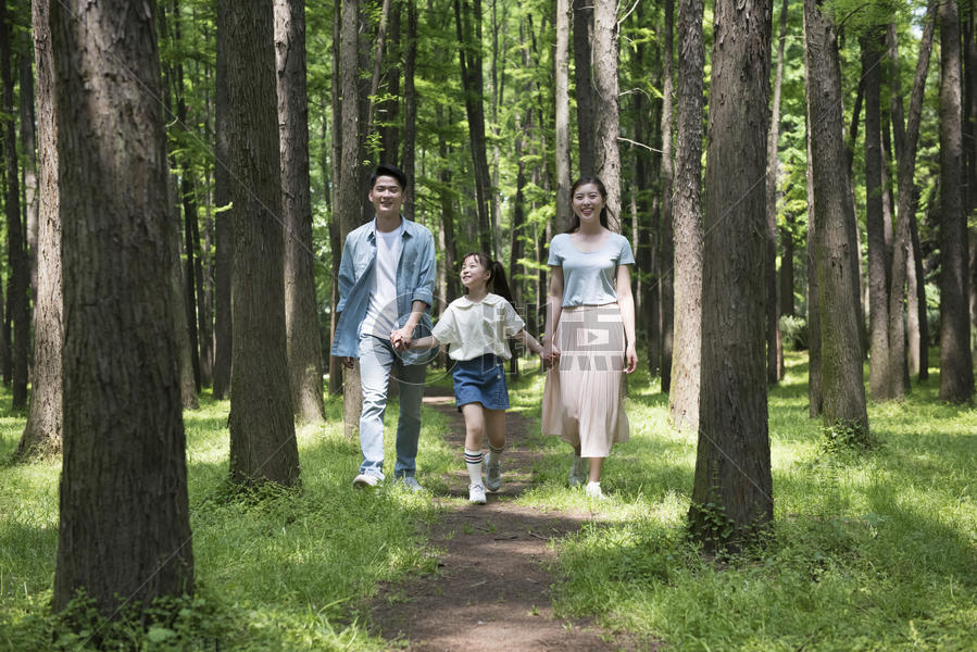 一家人在树林中散步图片素材免费下载