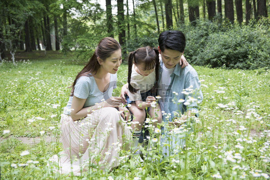家庭亲子在花丛中图片素材免费下载