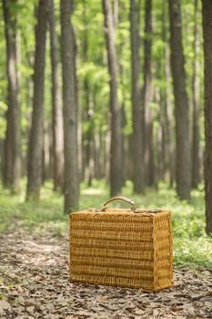 树林里的野餐篮图片素材免费下载