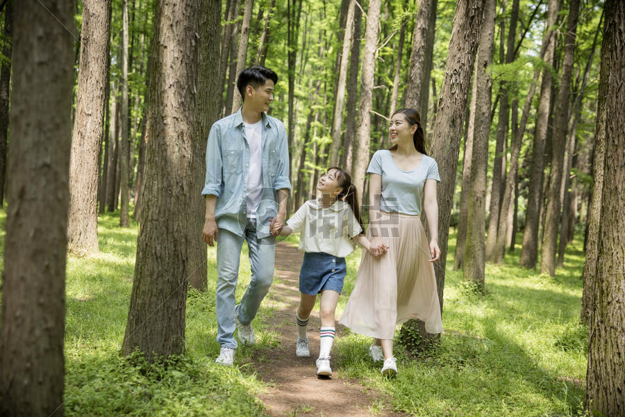 六一儿童节一家人在森林里散步图片素材免费下载