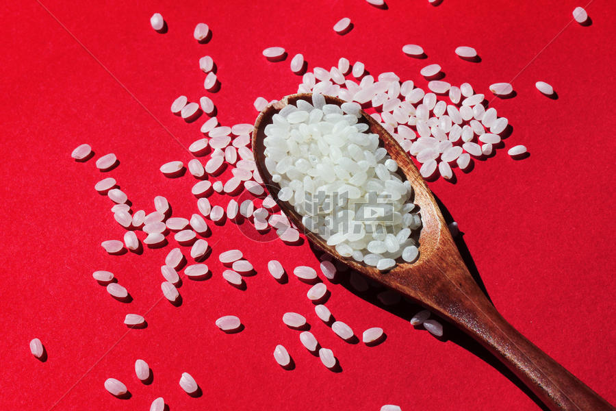 东北珍珠米图片素材免费下载