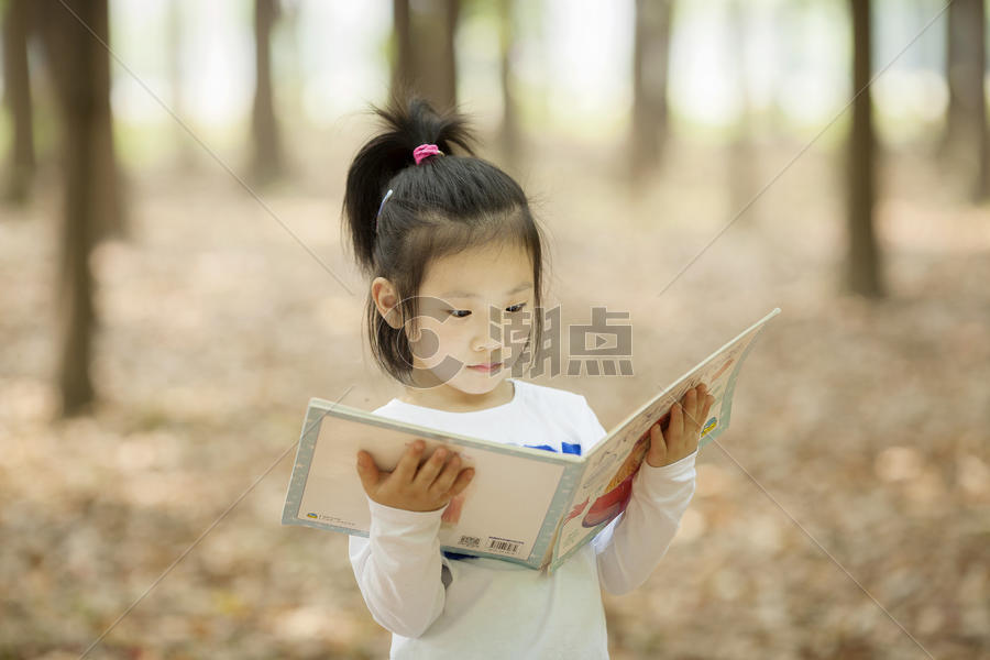 女孩在阅读看书图片素材免费下载