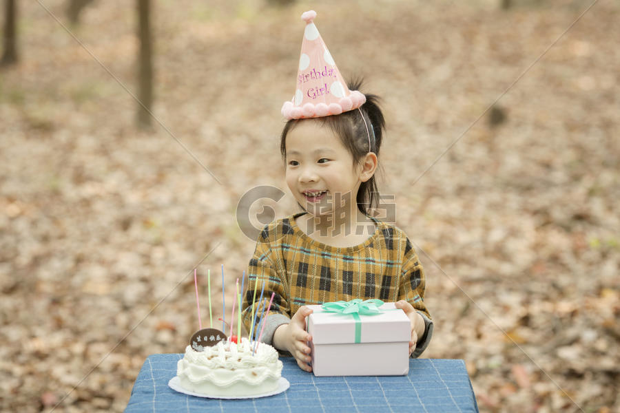 生日动画