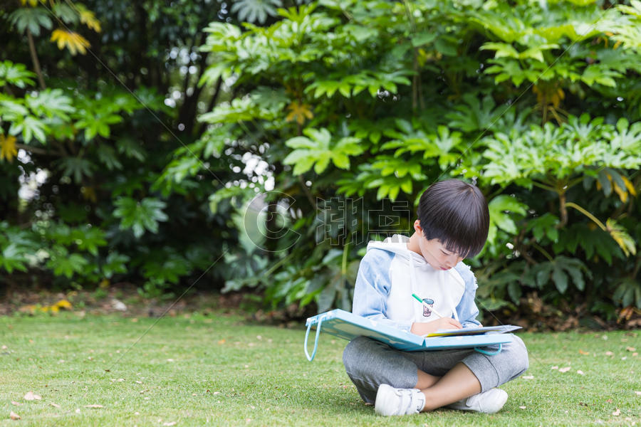 可爱儿童在公园草地画画图片素材免费下载