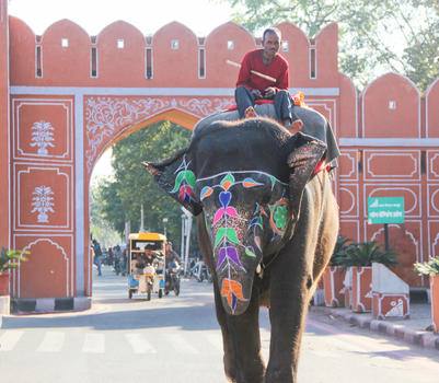 印度大象骑大象图片素材免费下载