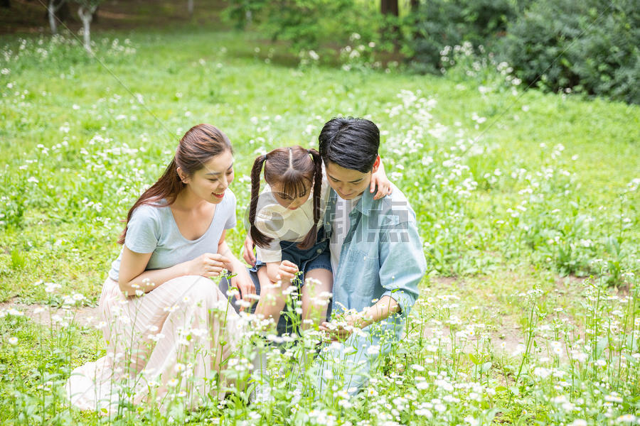 一家人花丛中欣赏图片素材免费下载