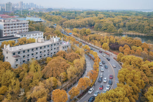 俯瞰城市秋天的道路图片素材免费下载